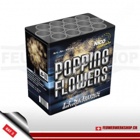 "Popping Flowers" Batteriefeuerwerk von Nico